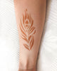 Kit "Pene" tatuaje temporare cu henna și șabloane